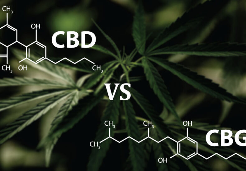 CBD and CBG Chemical Compound Diffrence