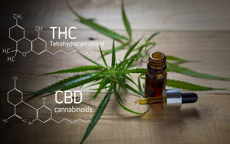 CBD and THC chemical compounds and CBD oil bottle with a dropper