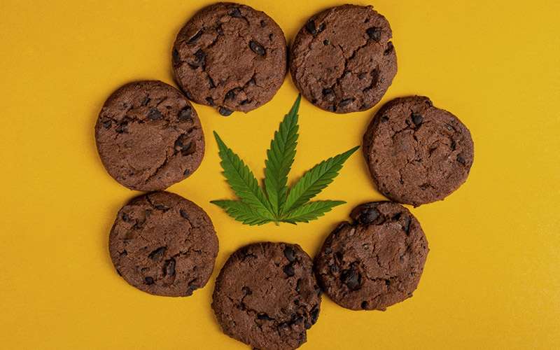 Cannabis leaf and CBD Chocolate Cookies