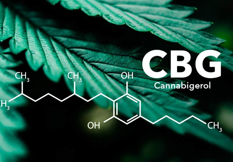 CBG Chemical Compound and cannabis plants