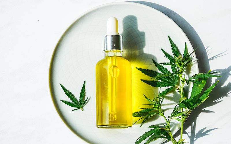 CBD Oil Bottle and Leaf on a Plate