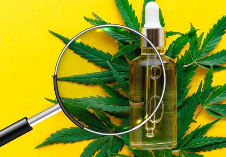 A magnifying glass is checking CBD oil bottle and cannabis leaf