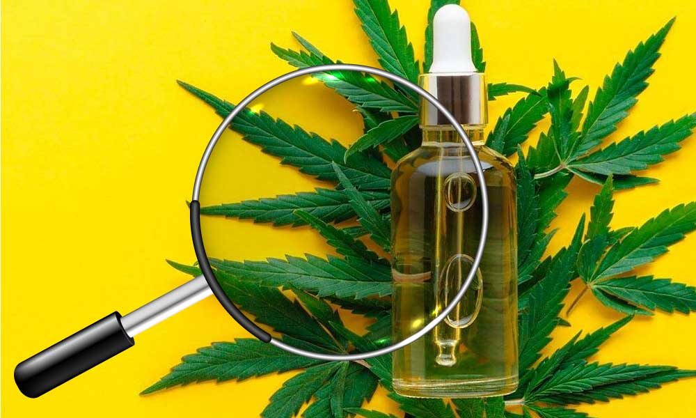 A magnifying glass is checking CBD oil bottle and cannabis leaf