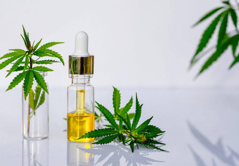 Cannabis leaves and CBD oil bottle