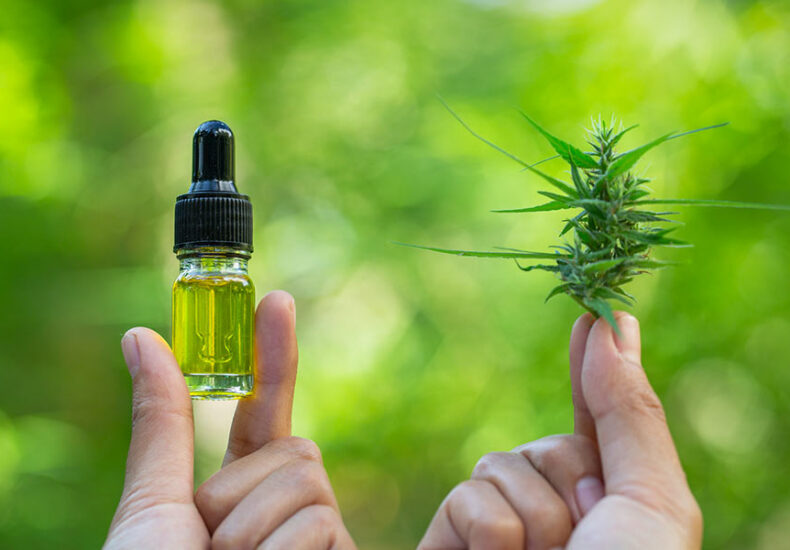 Holding A CBD Oil Bottle and cannabis