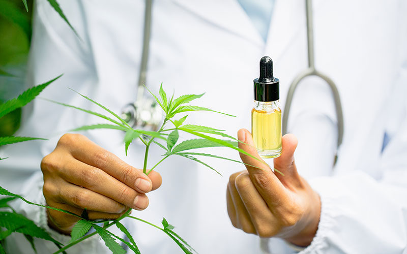 A Doctor is Holding CBD Oil Bottle and cannabis plant
