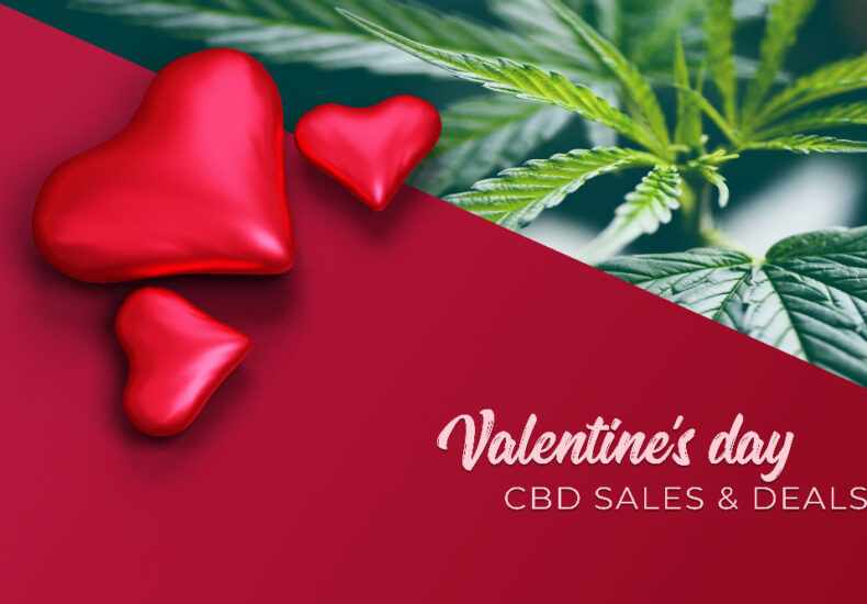 Valentine's Day CBD Sales & Deals