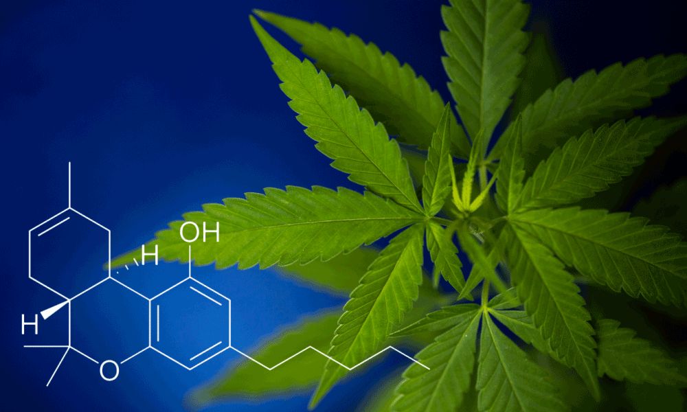 Cannabis leaf and chemical compound