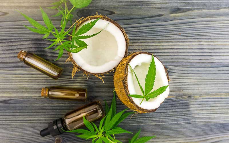 CBD Oil Bottle with Coconut and cannabis leaf