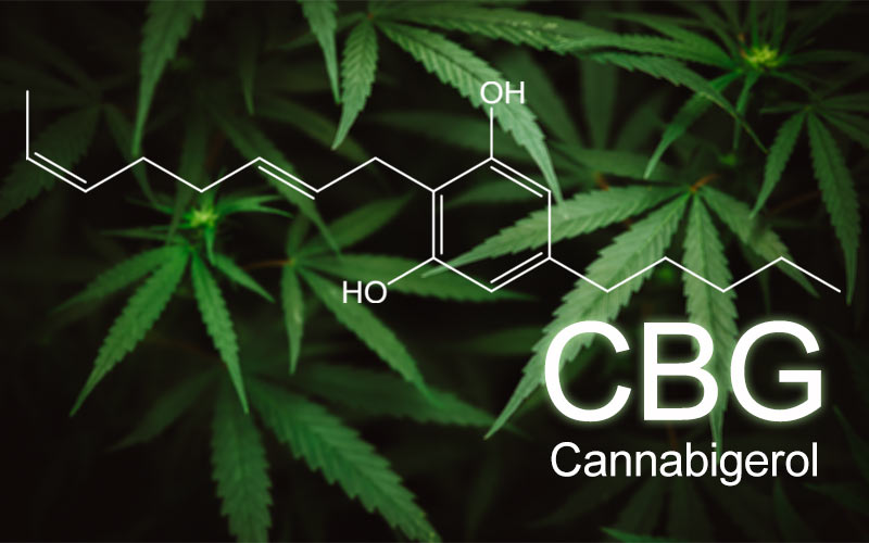 CBG formula and cannabis plants
