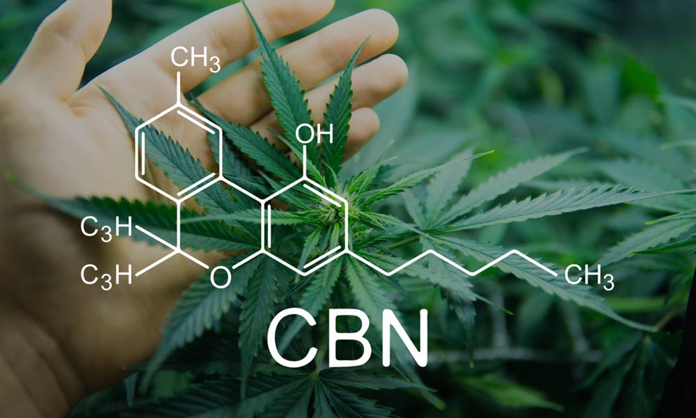 CBN Cannabinol