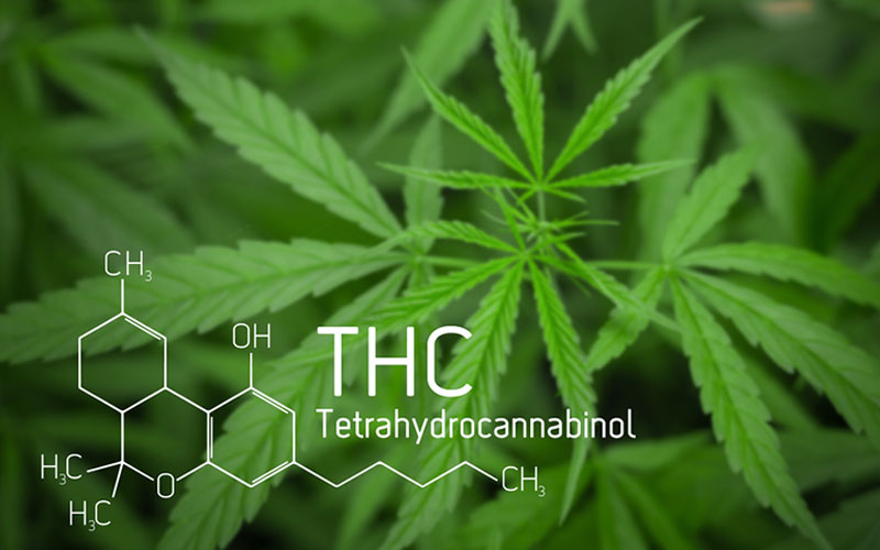 THC Chemical Compound with CBD Background
